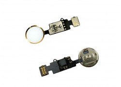 Контактная площадка кнопки Home для iPhone 7/ 7 Plus/ 8/ 8 Plus (золото) YF Sensor