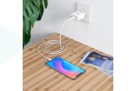 Сетевое зарядное устройство USB + кабель MicroUSB HOCO C81A Asombroco 2100mAh (белый)