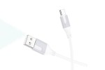 Кабель USB - USB Type-C BOROFONE BX101, (белый) 1м