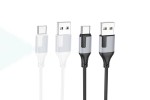 Кабель USB - USB Type-C BOROFONE BX101, (белый) 1м