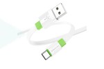 Кабель USB - USB Type-C BOROFONE BX89, 2,4A (бело-зеленый) 1м