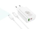 Сетевое зарядное устройство USB+USB-C + кабель Type-C BOROFONE BN10 PD65W (белый)