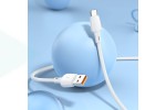 Кабель USB - USB Type-C BOROFONE BX93 100W (белый) 1м