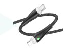 Кабель USB Type-C - Lightning BOROFONE BX100 (черный) 1м