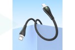 Кабель USB Type-C - Lightning BOROFONE BX100 (черный) 1м