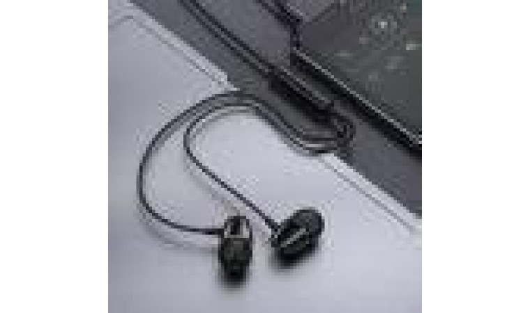 Наушники вакуумные проводные BOROFONE BM57 Platinum Universal (черный)