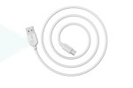 Кабель USB - USB Type-C BOROFONE BX14, 2A (белый) 1м