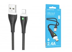 Кабель USB - Lightning BOROFONE BX100 2,4A (черный) 1м 