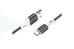 Кабель USB - USB Type-C BOROFONE BX79, 2,4A (черный) силиконовый 1м