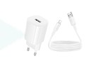 Сетевое зарядное устройство USB-C + кабель Lightning - USB BOROFONE BA101A Pudding (белый)