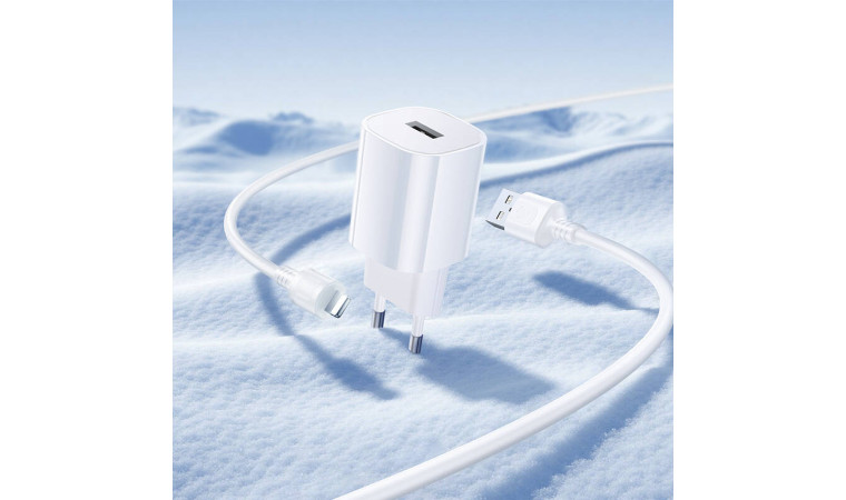 Сетевое зарядное устройство USB-C + кабель Lightning - USB BOROFONE BA101A Pudding (белый)