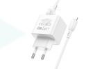 Сетевое зарядное устройство USB + кабель Lightning BOROFONE BAS11A Erudite  (черный)