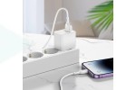 Сетевое зарядное устройство USB + кабель Lightning BOROFONE BAS11A Erudite  (черный)