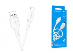 Кабель USB - USB Type-C BOROFONE BX70, 2,4A (белый) 1м