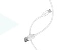 Кабель USB - USB Type-C BOROFONE BX14, 2A (белый) 2м