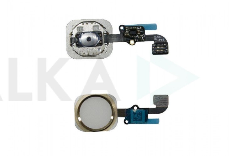 Контактная площадка кнопки Home для iPhone 6 (4.7)/ 6 plus (5.5) в сборе (белый) HQ