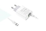 Сетевое зарядное устройство USB-C+ кабель Type-C HOCO C80A Rapido PD20W + QC 3.0 (белый)