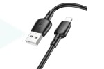 Кабель USB - Lightning BOROFONE BX93 2,4A (черный) 1м